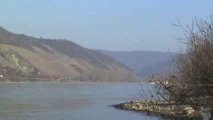 Züge und Schiffe beim Bopparder Hamm, Crossrail 185, DB 185, 2x 101, 460