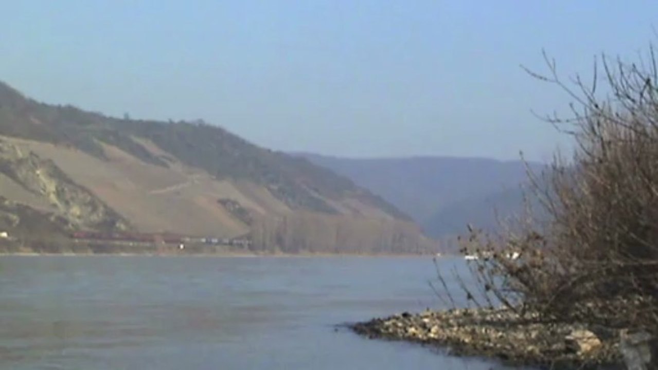 Züge und Schiffe beim Bopparder Hamm, Crossrail 185, DB 185, 2x 101, 460