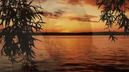 NEVERNE BEBE - Gde smo