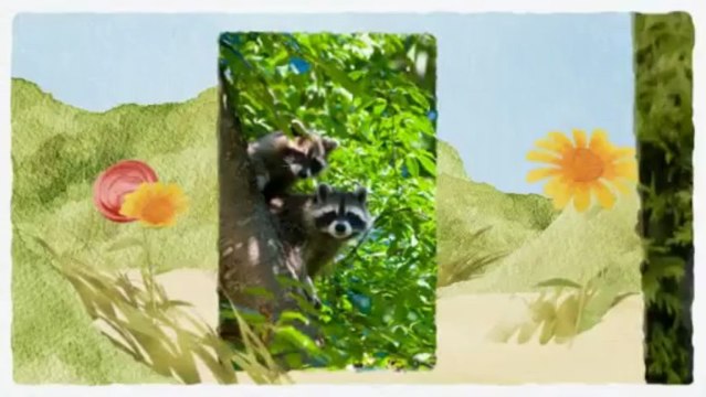 J&L Wildlife Control (203) 725-4524