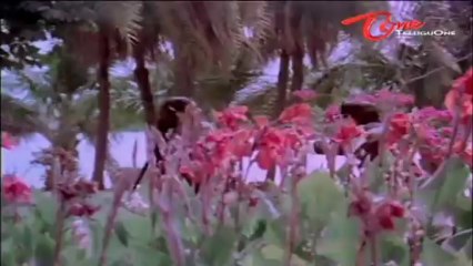 Sri Ranga Neethulu Songs - Gootikochina Chilaka - Sridevi - ANR