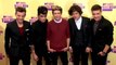One Direction to Get Individual Songwriting Credits