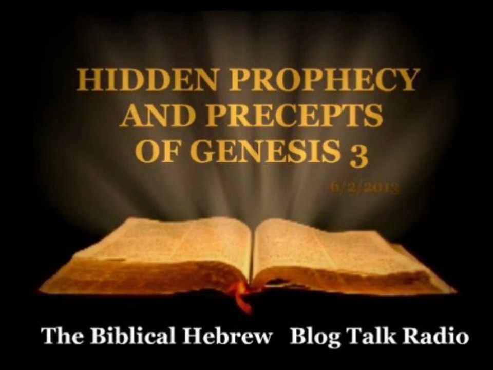 (1) HIDDEN PROPHECY AND PRECEPTS OF GENESIS 3