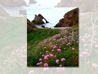 Giovanni Marradi - Monte Carlo