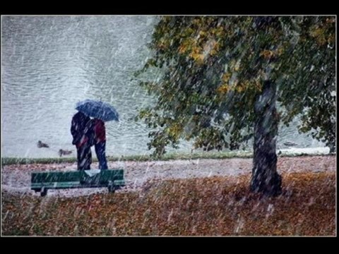 YILDIRIM CANER-YERDEKI YAPRAKLAR