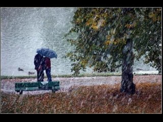 YILDIRIM CANER-YERDEKI YAPRAKLAR