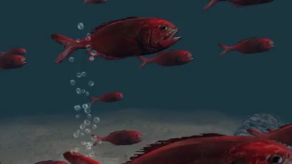 La pesca en aguas profundas