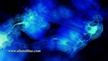 Video Backgrounds - Animated Backgrounds - Motion FX0510