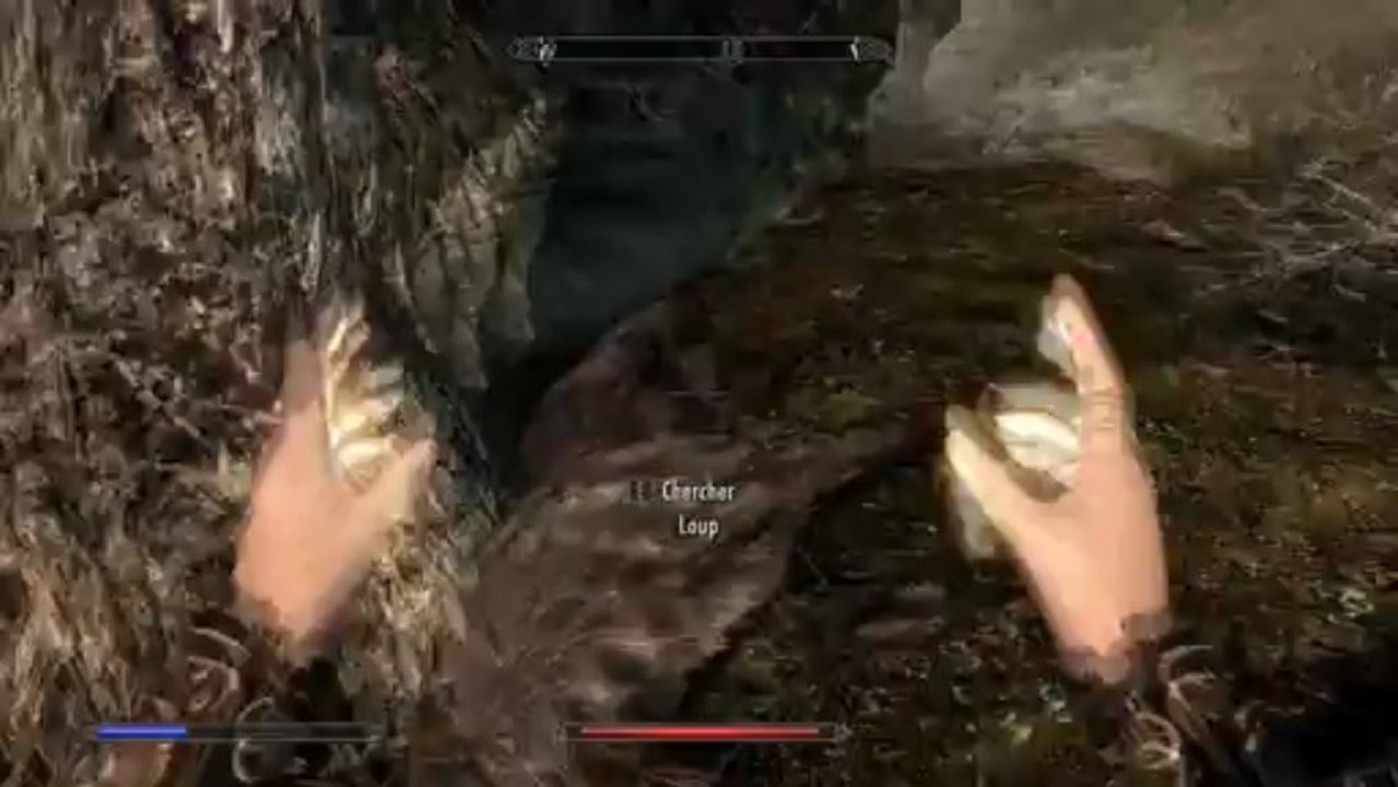 Skyrim 9