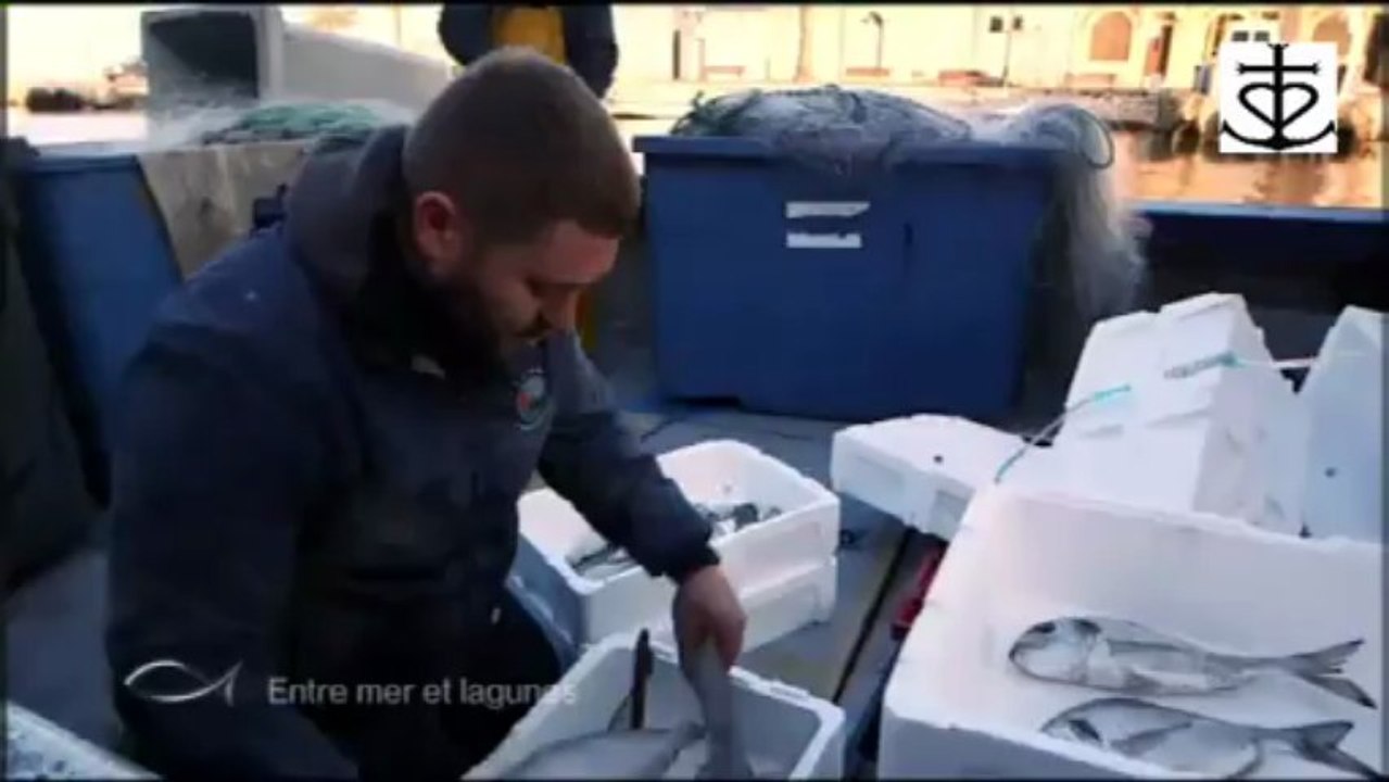 La Camargue - Provence