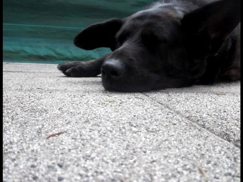 NOTRE PLUS JOLI MOIS DE JUIN ♥