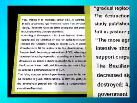 Jakarta Crown Eco Management| Environment: Brazil's Forests - Profit from Destruction