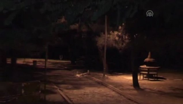 Bursa'da dağlık alandan şehre inen ayı korkuttu