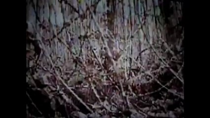 22.The Battle of Argonne