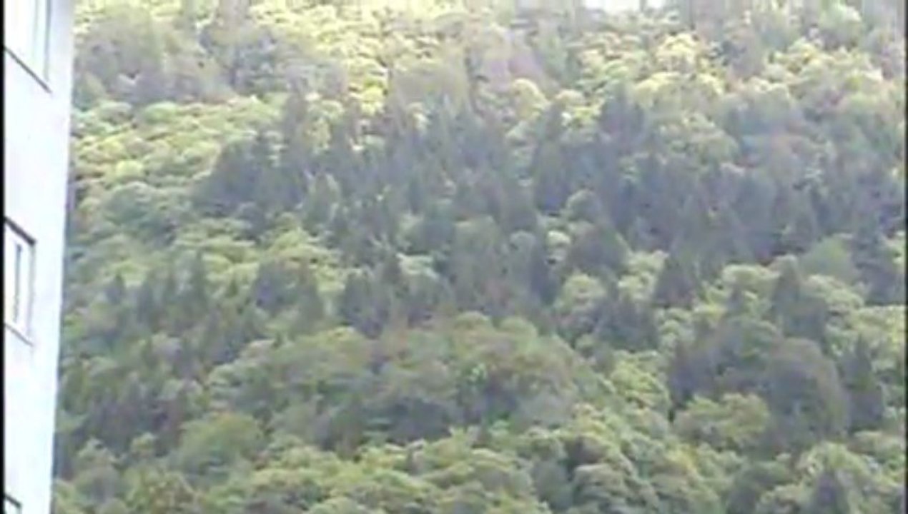 Gazeteci İsmail Aydın'ın Karadeniz izlenimleri