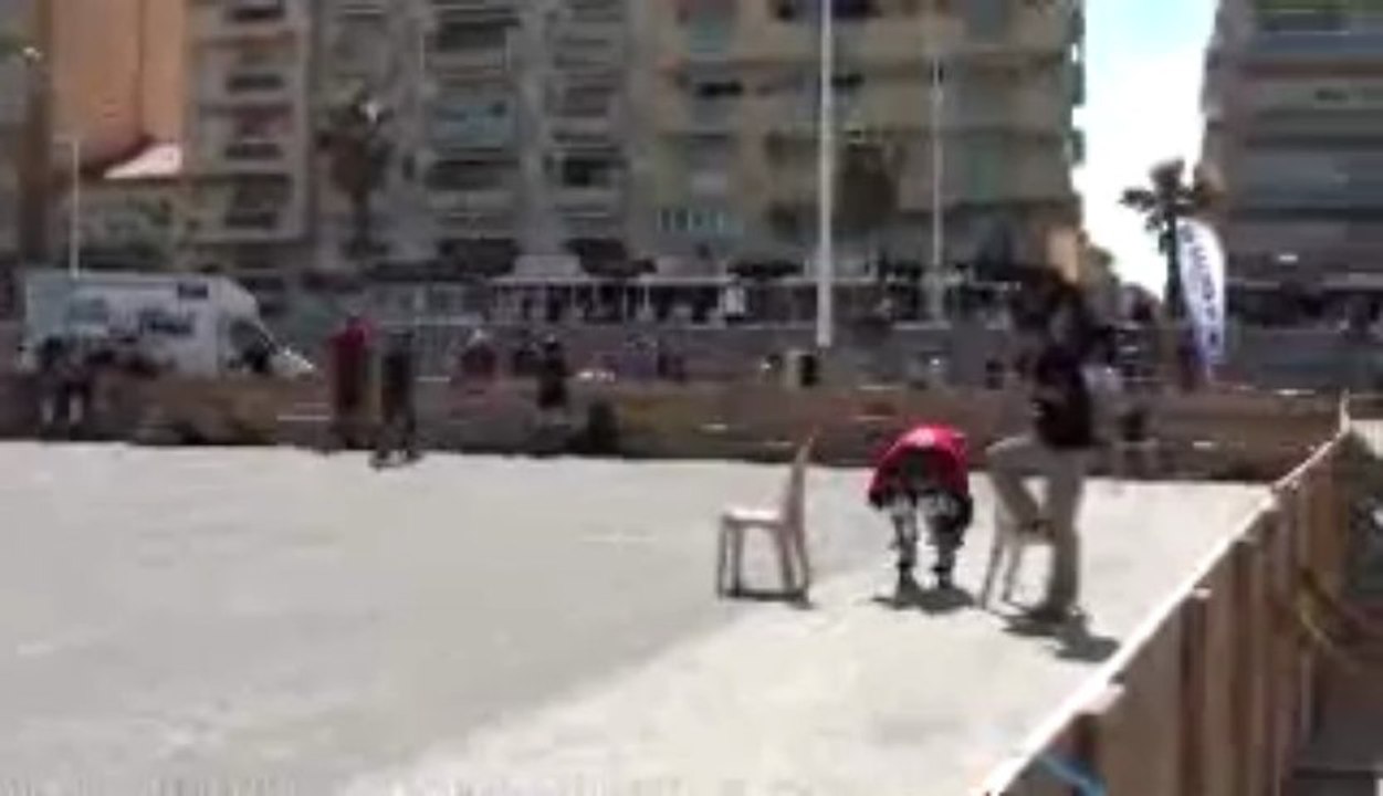 BLADER CROSS 2013