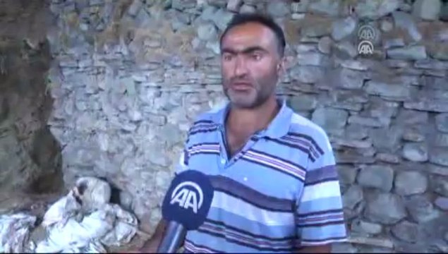 Kangal köpeği, yavru kurda annelik yapıyor