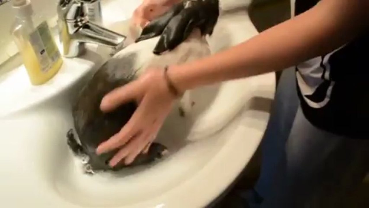 Bunny takes a shower - looool