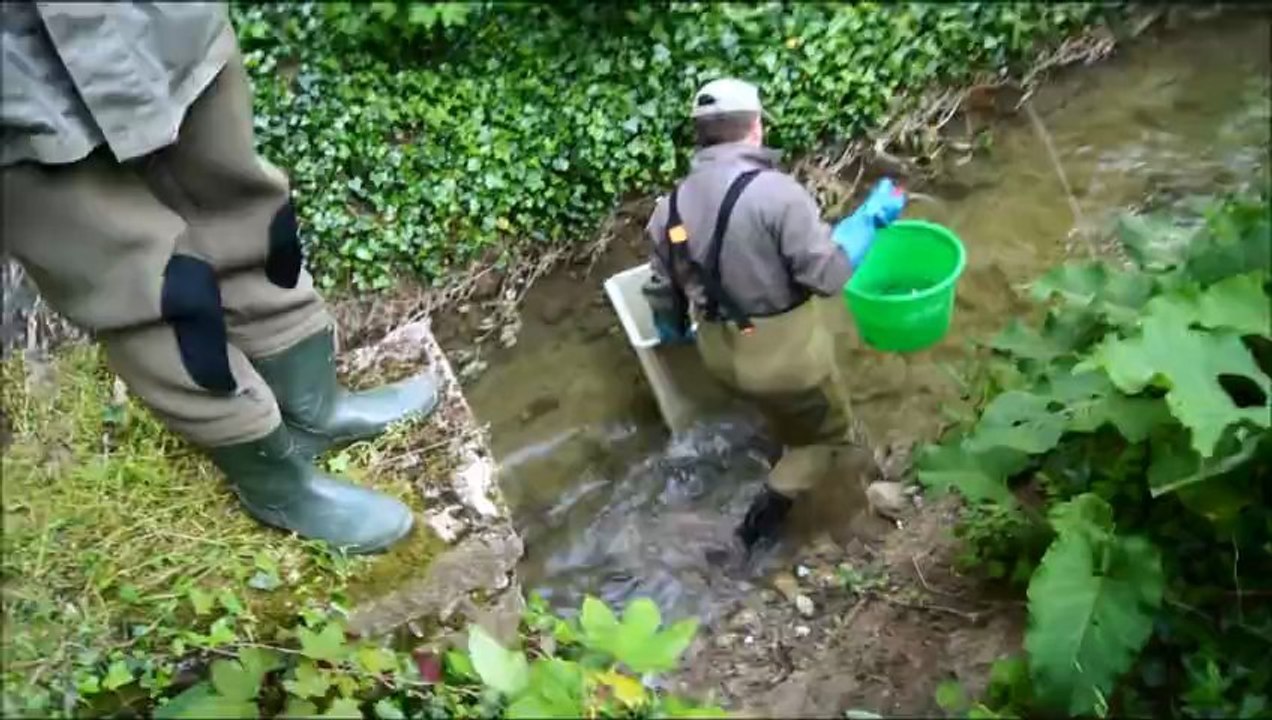 peche electrique chalerne 2013.docx