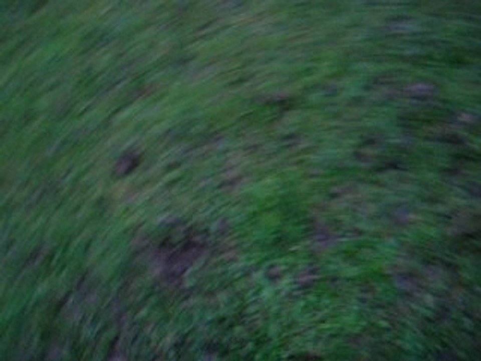 saut2