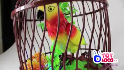 Lovely Sound Activated Heartful Bird Toy (Parrot) 228b