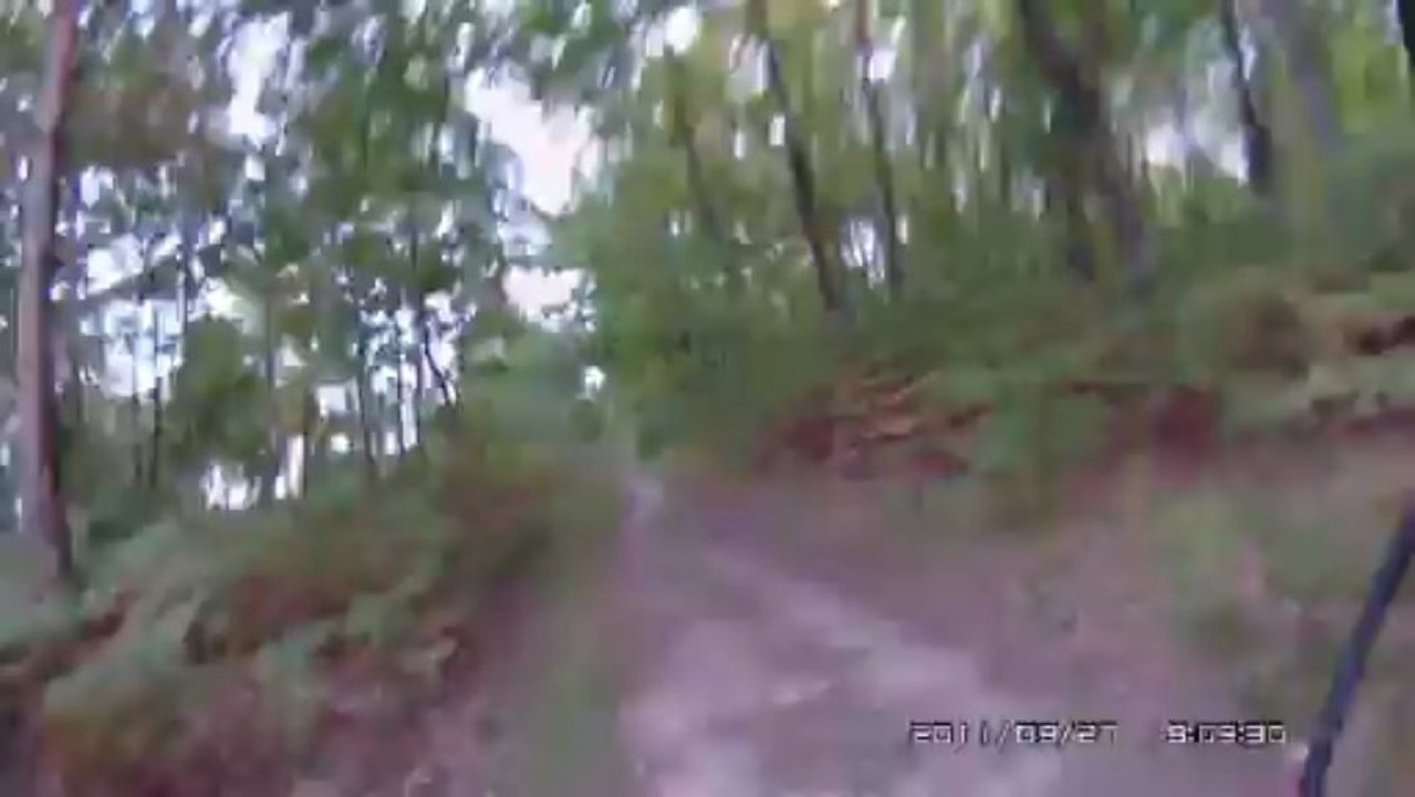 Forêt de Moulière
