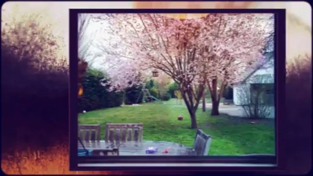 YOUIMMO IMMOBILIER PROPOSE PAVILLON A MONT-PRES-CHAMBORD 214900 euros - WWW.YOUIMMO.FR