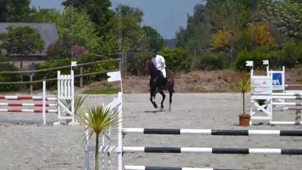 Ulmina 5 ans cso dole de bretagne