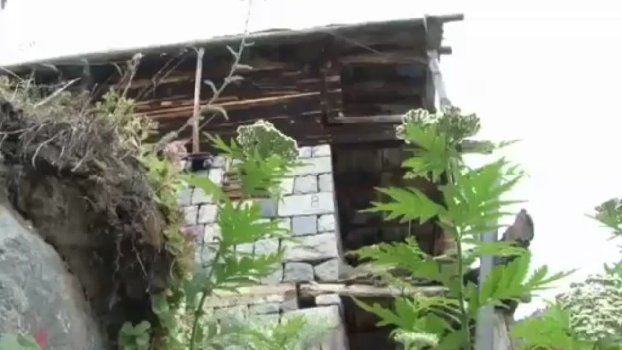 Beypazarı_Kapullu Köyü doğal  Karakovan arıcılığı - Soner GENEL