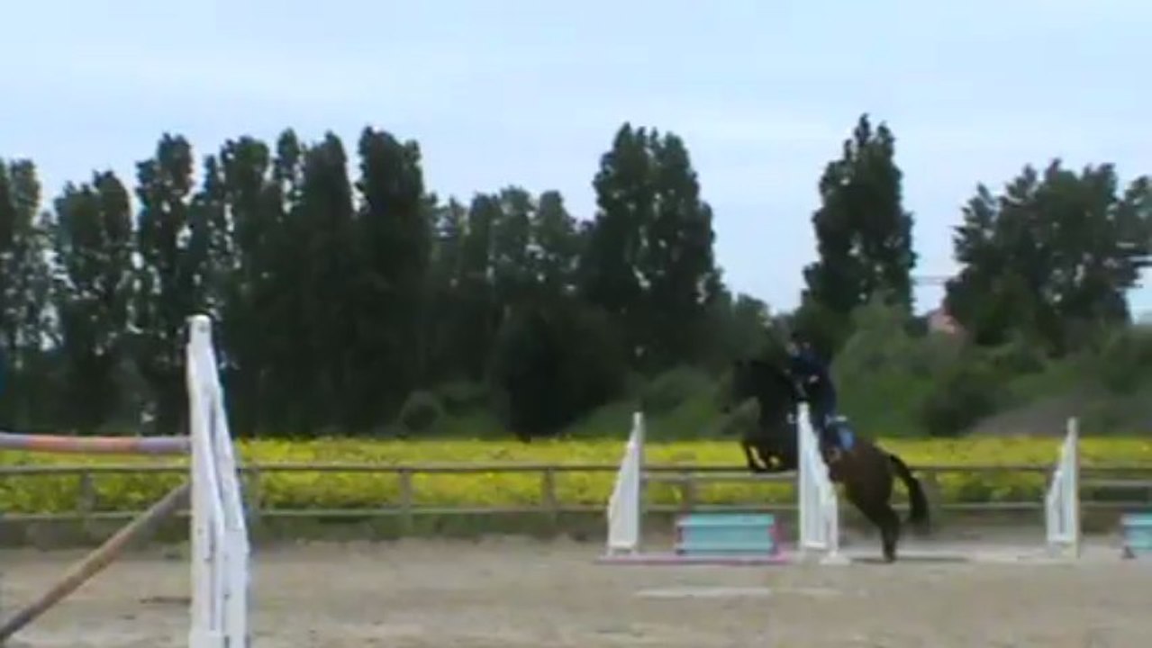 "T'as vu ça? Quand elle réfléchit..."