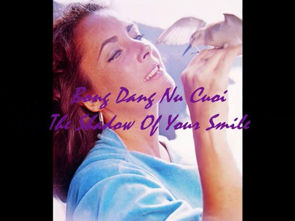 Bóng Dáng Nụ Cười-The Shadow Of Your Smile