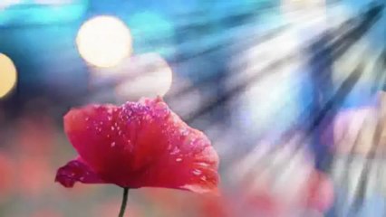 YALNIZ SEN VARSIN - MÜNİR DOĞANAY