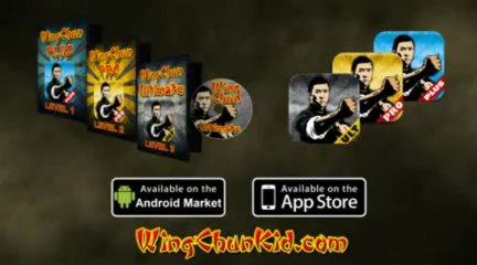 Is the Best Martial Art Wing Chun?