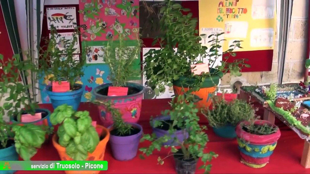 Carinaro (CE) - XII edizione Premio Sepe (06.06...