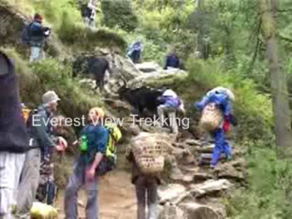 Everest View Trek, Everest Panorama Trekking, Trekking in Everest