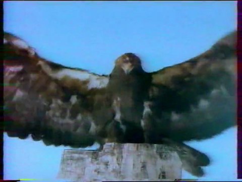 France 2 20 Octobre 1994 2 Pubs, 2 B.A., Ça se discute