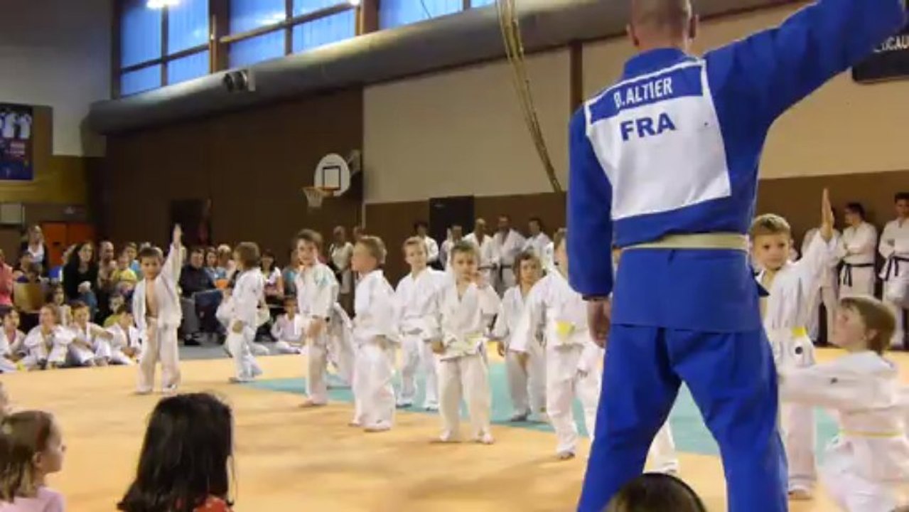Judo Loris
