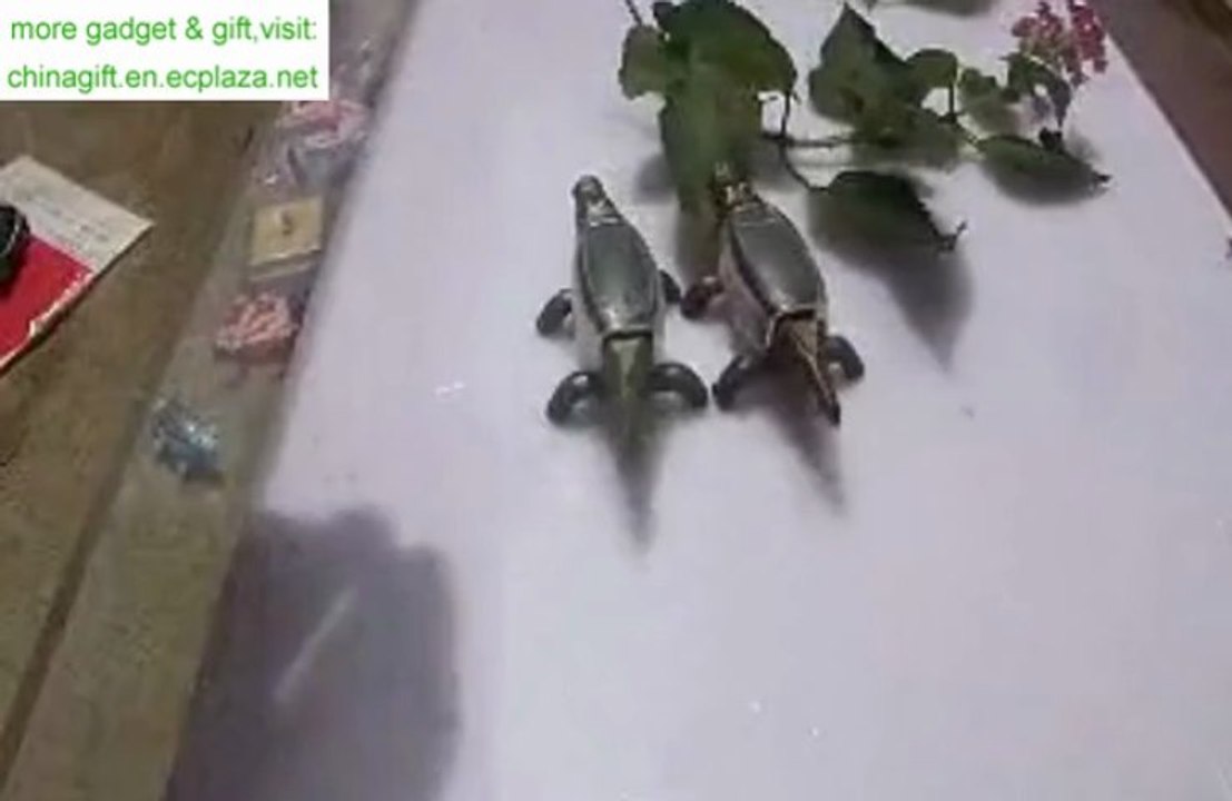 Solar Powered Crocodile