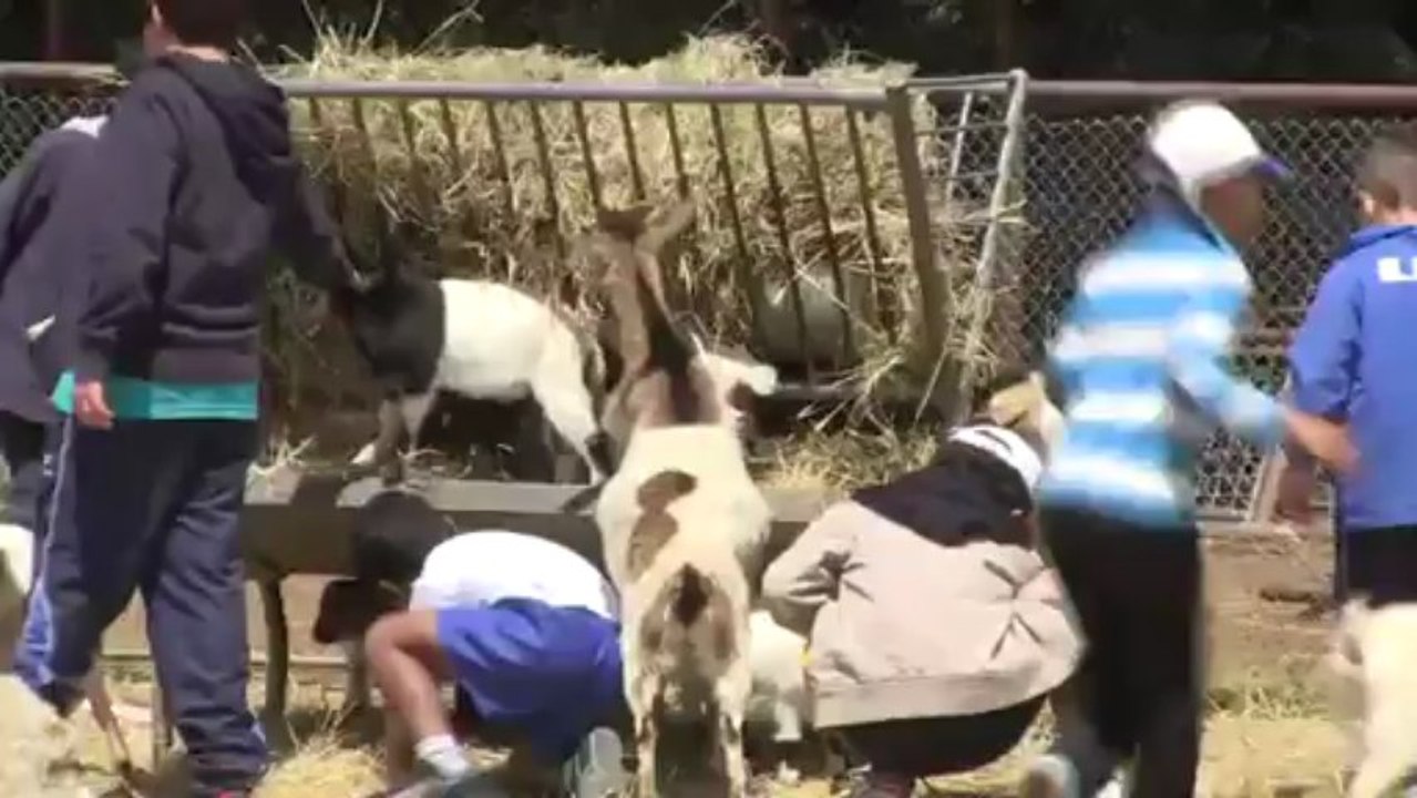 Sortie à la réserve africaine de Sigean