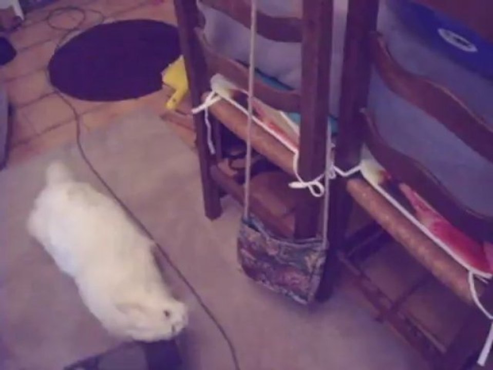 Anakin et l'aspirateur 3