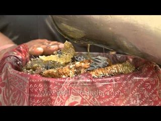 Bees cling on to their hive that was