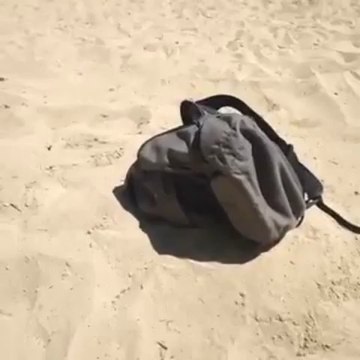 Bernard l'hermite un coquillage humain