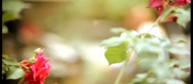 Tekin Uçar - Çawreşamın - (2013)