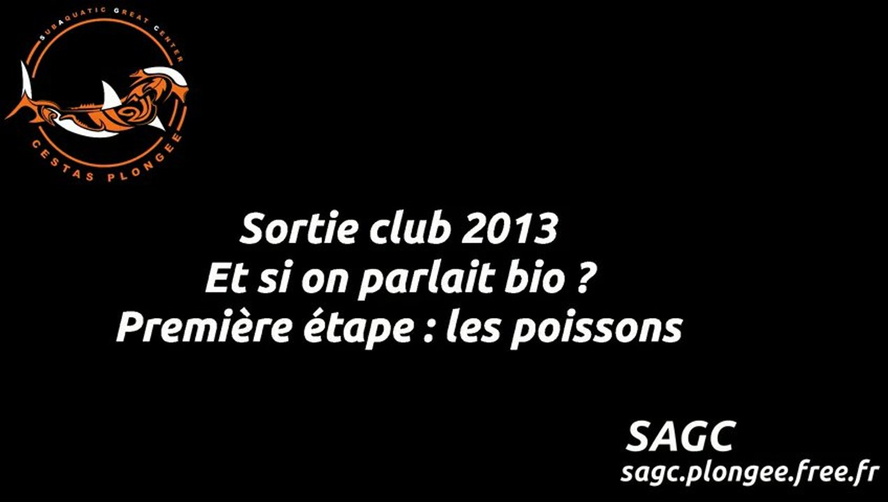 201305 - Estartit - Bio - 01