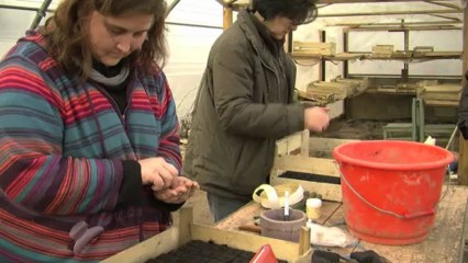 Semis aux Jardins de Prométhée