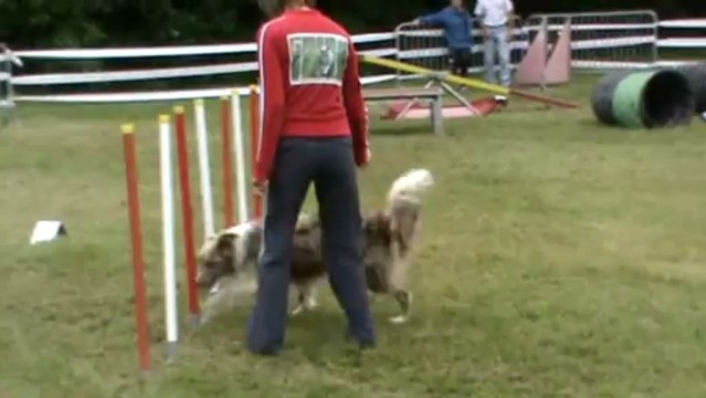 Given 1er degré Buzançais 09 0