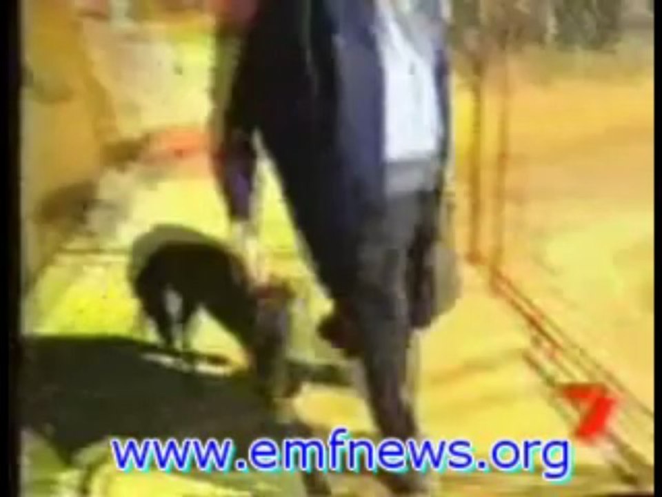 Cell Phones Health, Microwave Radiation Protection