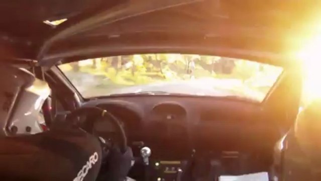 Caméra embarquée ES1 Mazaugues Rallye de La Sainte Baume 2013 206 Maxi F2000/14 Rives Cormerais