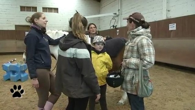 Bêtes d'Yvelines : l'équithérapie pour soigner les maux