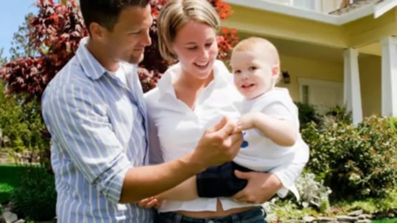 Pest Control Denver CO by Mr. EcoPest Control